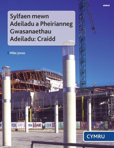 Бумажная книга «Sylfaen Mewn Adeiladu a Pheirianneg Gwasanaethau Adeiladu - Craidd», автор Майк Джонс - фото №1