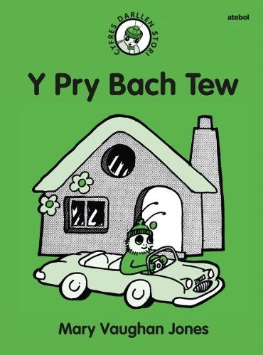 Бумажная книга «Cyfres Darllen Stori: Y Pry Bach Tew», автор Мэри Воган Джонс - фото №1