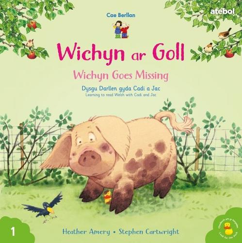 [object Object] «Cyfres Cae Berllan: Wichyn ar Goll / Wichyn Goes Missing», автор Хизер Эмери - фото №1