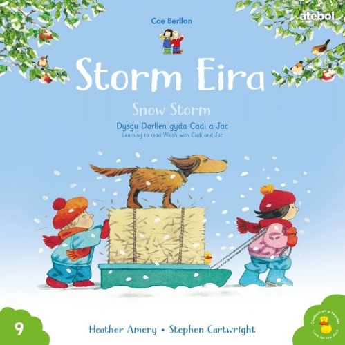 Бумажная книга «Cyfres Cae Berllan: Storm Eira / Snow Storm», автор Хизер Эмери - фото №1