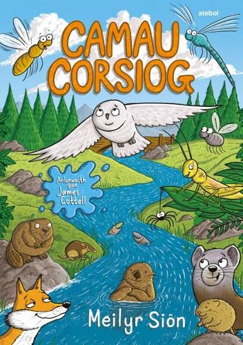 Паперова книга «Camau Corsiog», автор Мейлір Сьон - фото №1