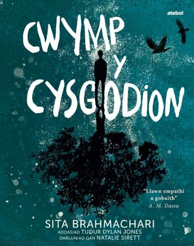 Бумажная книга «Darllen yn Well: Cwymp y Cysgodion» - фото №1