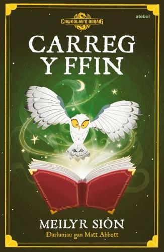 Бумажная книга «Carreg y Ffin», автор Мейлир Сьон - фото №1