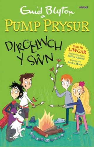 Бумажная книга «Pump Prysur: Dirgelwch y Sŵn», авторов Энид Блайтон, Суфия Ахмед - фото №1