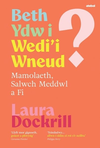 Бумажная книга «Beth Ydw i Wedi'i Wneud? Mamolaeth, Salwch Meddwl a Fi» - фото №1
