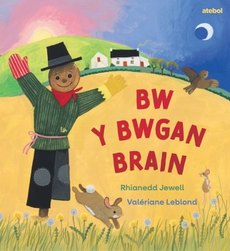 Паперова книга «Bw y Bwgan Brain», автор Ріанед Джуелл - фото №1