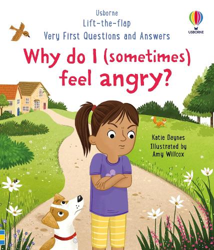 Бумажная книга «Very First Questions and Answers: Why do I (sometimes) feel angry?», автор Кэйти Дэйнс - фото №1