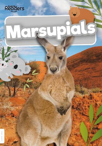 [object Object] «Marsupials», автор Мэдлин Тайлер - фото №1