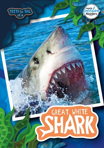Паперова книга «Teeth to Tail of a Great White Shark», автор Робін Твідді - фото №1