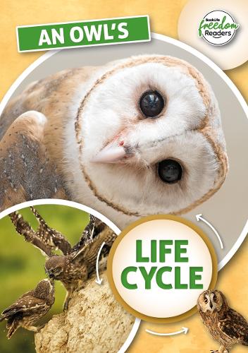 Бумажная книга «An Owl's Life Cycle», автор Мэдлин Тайлер - фото №1