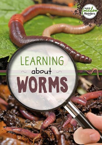 [object Object] «Learning about Worms», автор Холли Дьюиг - фото №1