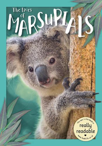 Бумажная книга «The Lives of Marsupials», автор Мэдлин Тайлер - фото №1