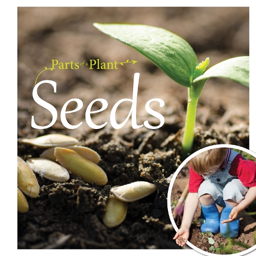 Бумажная книга «Seeds», автор Джемма МакМаллен - фото №1