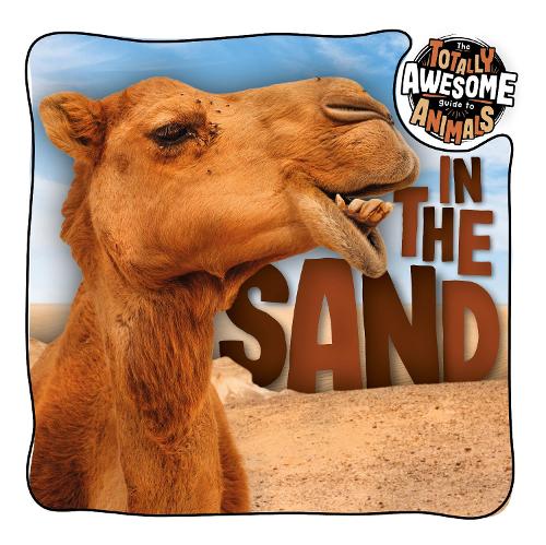 Бумажная книга «In the Sand», автор Бренда Макхейл - фото №1