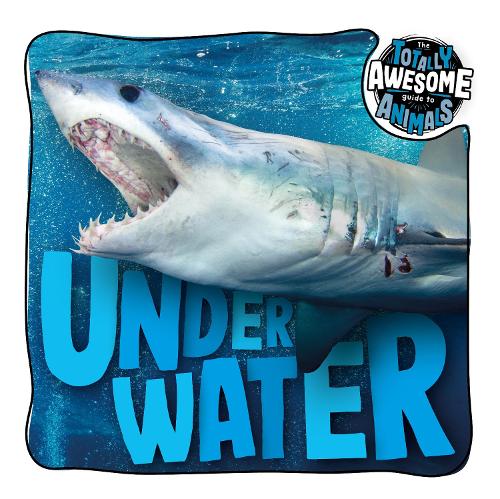 Паперова книга «Under Water», автор Бренда МакХейл - фото №1