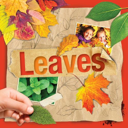 Паперова книга «Leaves», автор Стеффі Кавелл-Кларк - фото №1