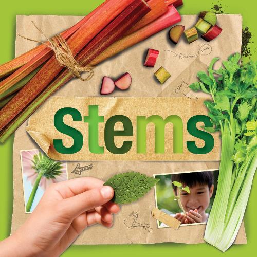 Паперова книга «Stems», автор Стеффі Кавелл-Кларк - фото №1