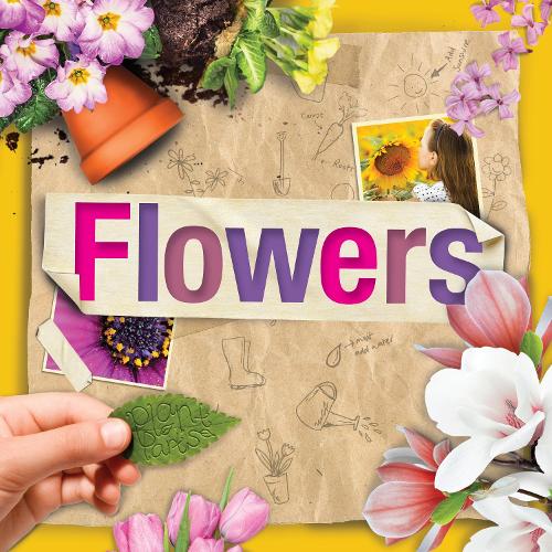 Паперова книга «Flowers», автор Стеффі Кавелл-Кларк - фото №1
