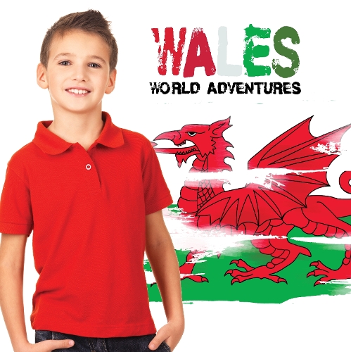 Бумажная книга «Wales», автор Харриет Брандл - фото №1