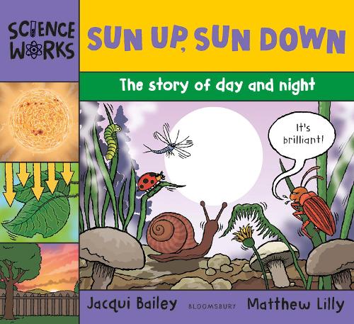 Бумажная книга «Sun Up, Sun Down: The Story of Day and Night», автор Жаки Бейли - фото №1