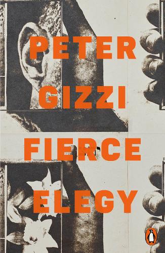 Бумажная книга «Fierce Elegy», автор Питер Гицци - фото №1