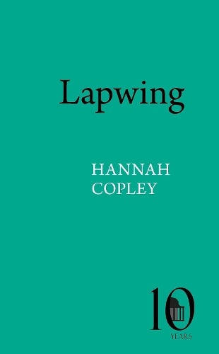 Паперова книга «Lapwing», автор Ханна Коплі - фото №1