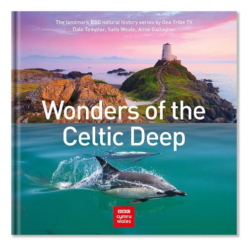 Паперова книга «Wonders of the Celtic Deep», авторів Енн Галлахер, Дейл Темплер - фото №1