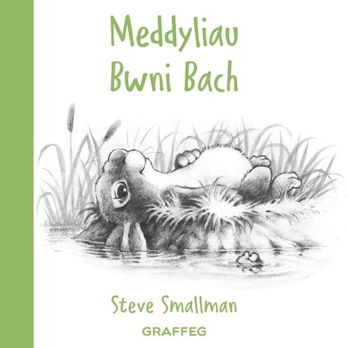 Паперова книга «Meddyliau Bwni Bach», автор Стів Смолмен - фото №1