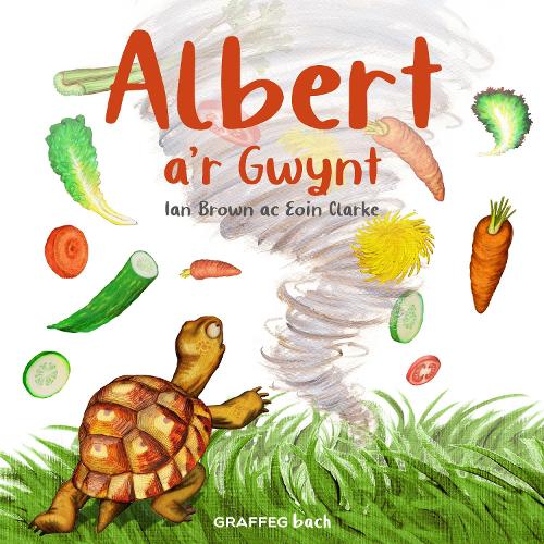 Бумажная книга «Albert a'r Gwynt» - фото №1