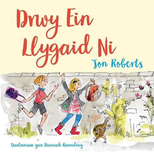 Бумажная книга «Drwy ein Llygaid Ni», автор Джон Робертс - фото №1