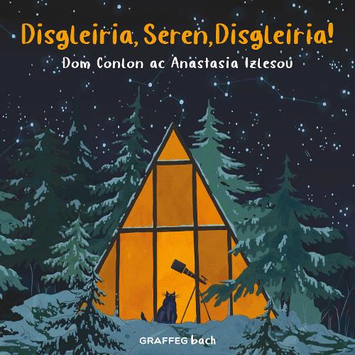Бумажная книга «Disgleiria, Seren, Disgleiria!», автор Дом Конлон - фото №1
