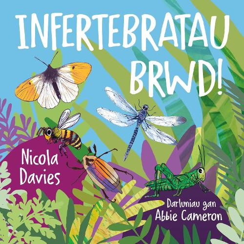 Бумажная книга «Infertebratau Brwd!», автор Никола Дэвис - фото №1