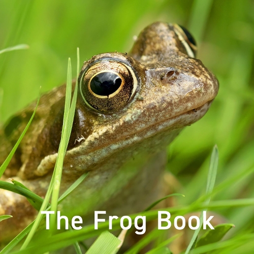 Паперова книга «Frog Book, The», автор Джо Бірн - фото №1