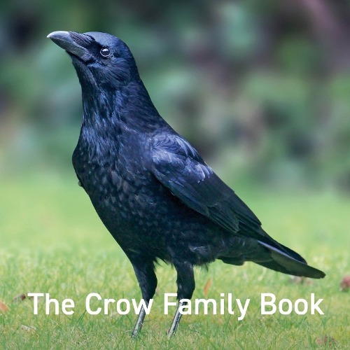 Паперова книга «The Crow Family Book», автор Джейн Расс - фото №1