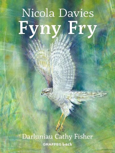 Бумажная книга «Fyny Fry», автор Никола Дэвис - фото №1