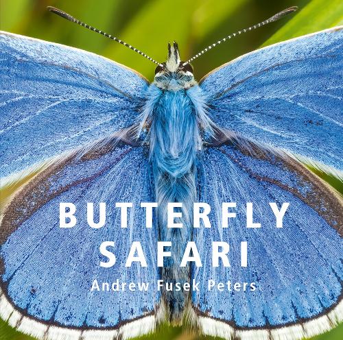 Паперова книга «Butterfly Safari», автор Ендрю Фьюсек Пітерс - фото №1