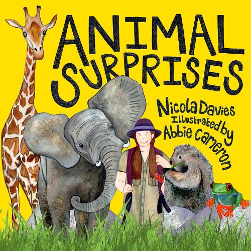 Бумажная книга «Animal Surprises», автор Никола Дэвис - фото №1