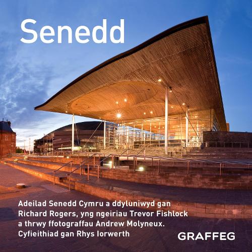 Бумажная книга «Senedd», автор Тревор Фишлок - фото №1