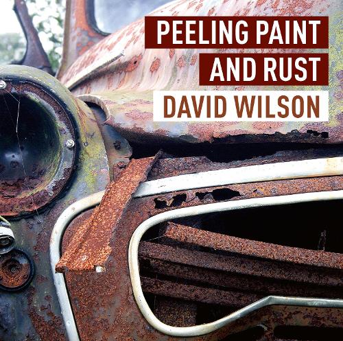 Паперова книга «Peeling Paint and Rust», автор Девід Уїлсон - фото №1