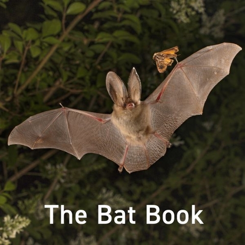 Бумажная книга «The Bat Book», автор Хью Ворвик - фото №1