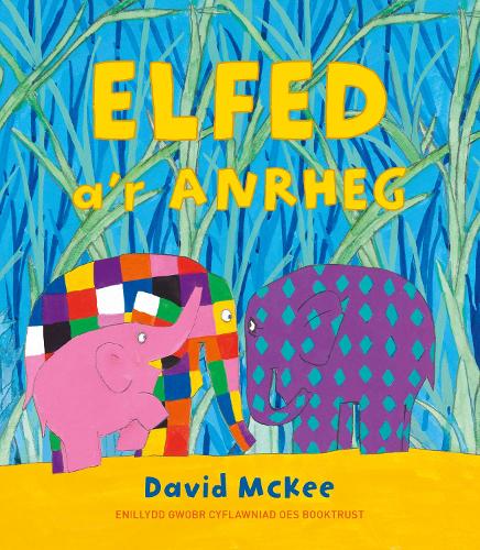 Бумажная книга «Darllen yn Well: Elfed a'r Anrheg», автор Дэвид Макки - фото №1