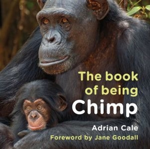 Бумажная книга «The Book of Being Chimp», автор Адриан Кейл - фото №1
