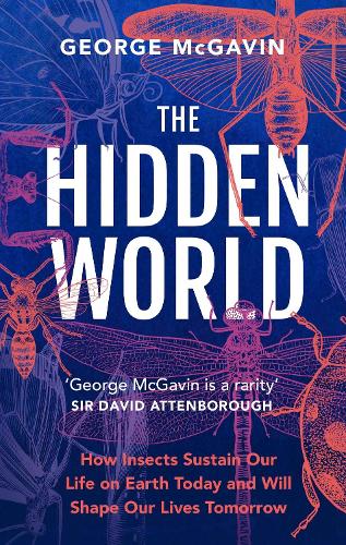 Бумажная книга «The Hidden World: How Insects Sustain Life on Earth Today and Will Shape Our Lives Tomorrow» - фото №1