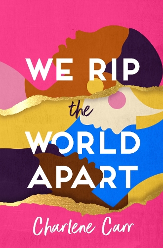 Паперова книга «We Rip the World Apart: A sweeping story about motherhood, race and secrets» - фото №1