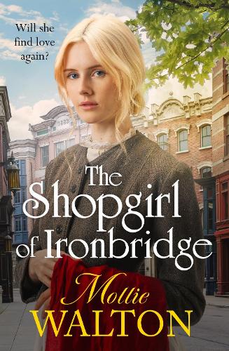 Бумажная книга «The Shopgirl of Ironbridge: A dramatic and heartwarming Victorian saga», автор Молли Уолтон - фото №1