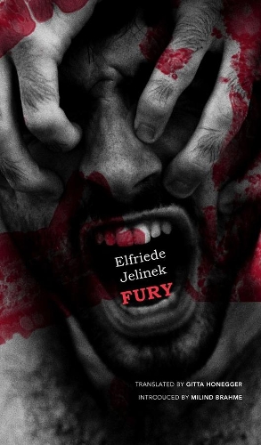 Паперова книга «Fury», авторів Елфріда Єлінек, Ґітта Хонеґґер, Мілінд Брахме - фото №1