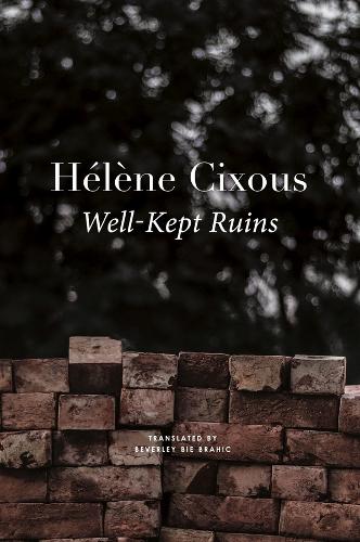 Паперова книга «Well–Kept Ruins», авторів Беверлі Бі Брагік, Хелен Сіксу - фото №1