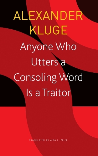 Паперова книга «Anyone Who Utters a Consoling Word Is a Traitor – 48 Stories for Fritz Bauer», авторів Олександр Клюге, Альта Л. Прайс - фото №1