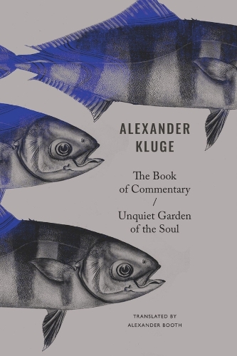 Бумажная книга «The Book of Commentary / Unquiet Garden of the Soul», авторов Александр Бут, Александр Клюге - фото №1