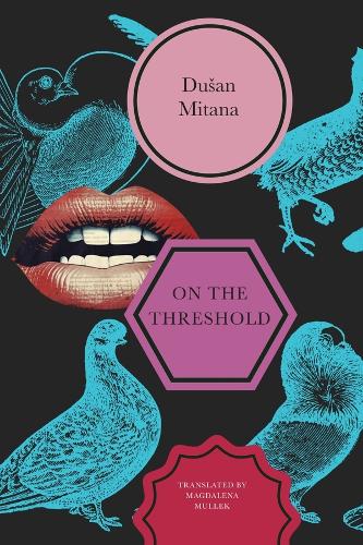 Паперова книга «On the Threshold: Short Stories», автор Душан Мітана - фото №1